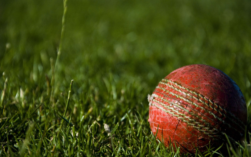Cricket ball on green field.