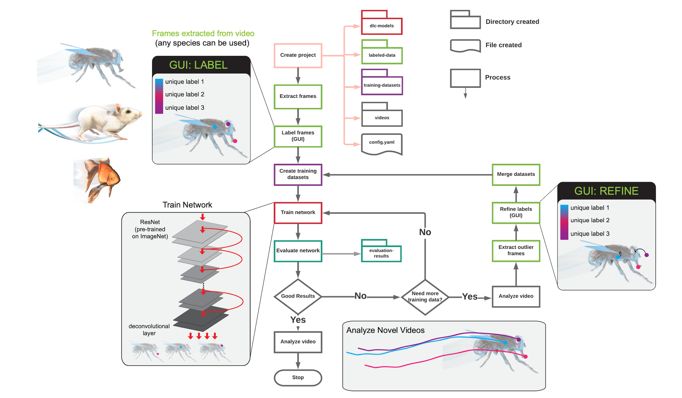 deeplabcut workflow