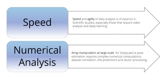 numpy dlc benefits