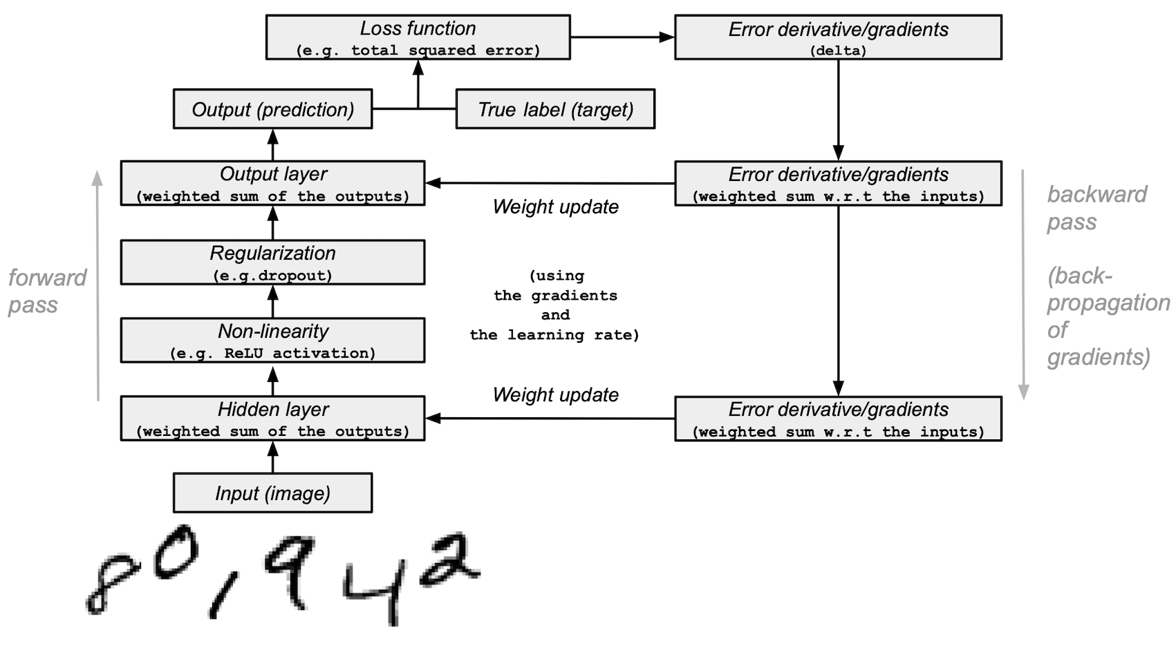 Diagram showing operations detailed in this tutorial (The input imageis passed into a Hidden layer that creates a weighted sum of outputs.The weighted sum is passed to the Non-linearity, then regularization andinto the output layer. The output layer creates a prediction which canthen be compared to existing data. The errors are used to calculate theloss function and update weights in the hidden layer and outputlayer.)